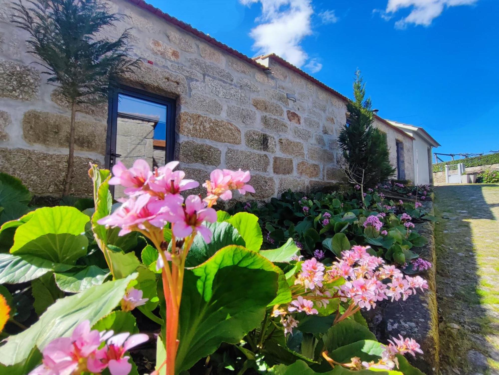 Agroturismo Quinta De Travancela Amarante Exterior photo