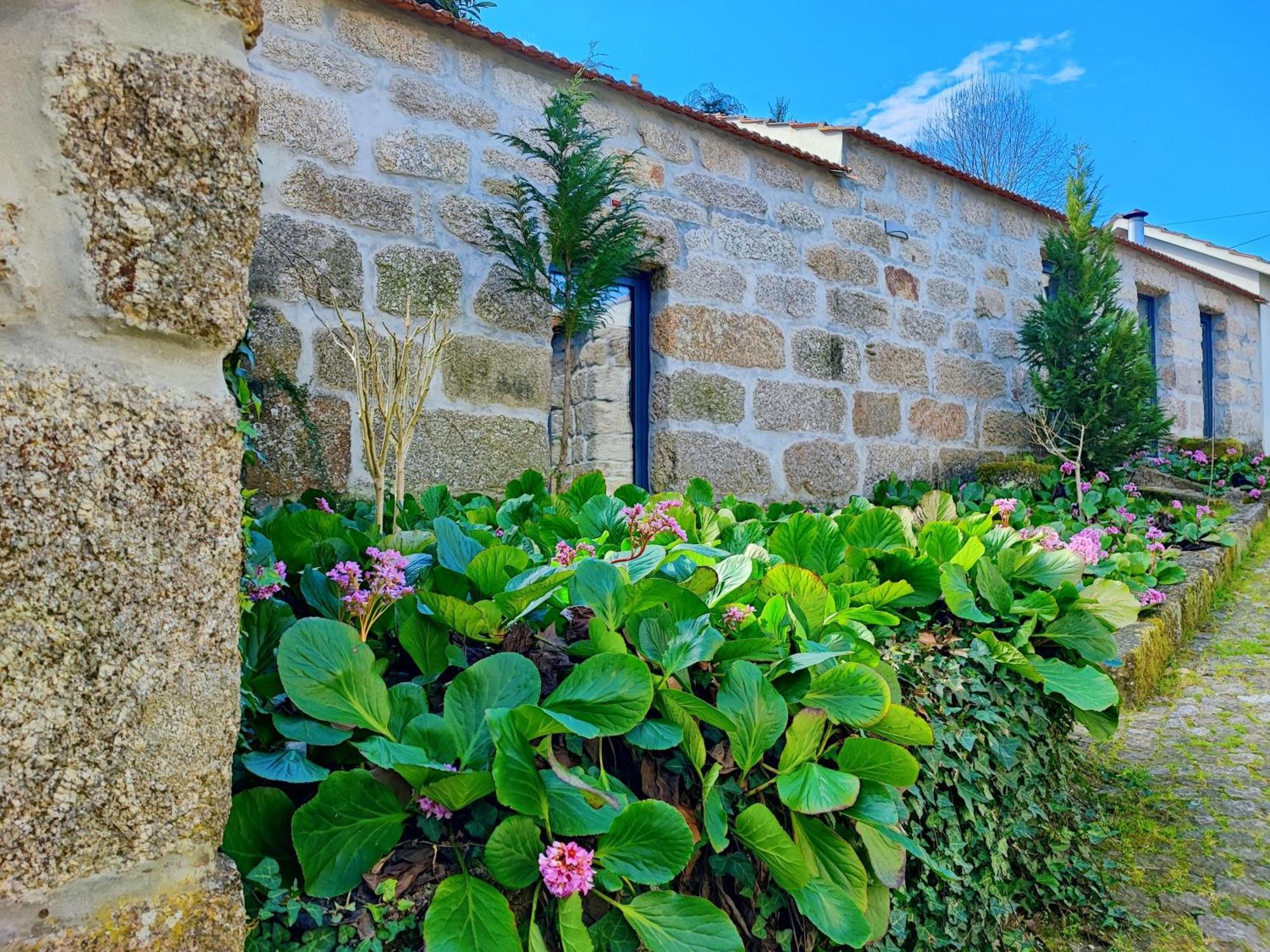Agroturismo Quinta De Travancela Amarante Exterior photo